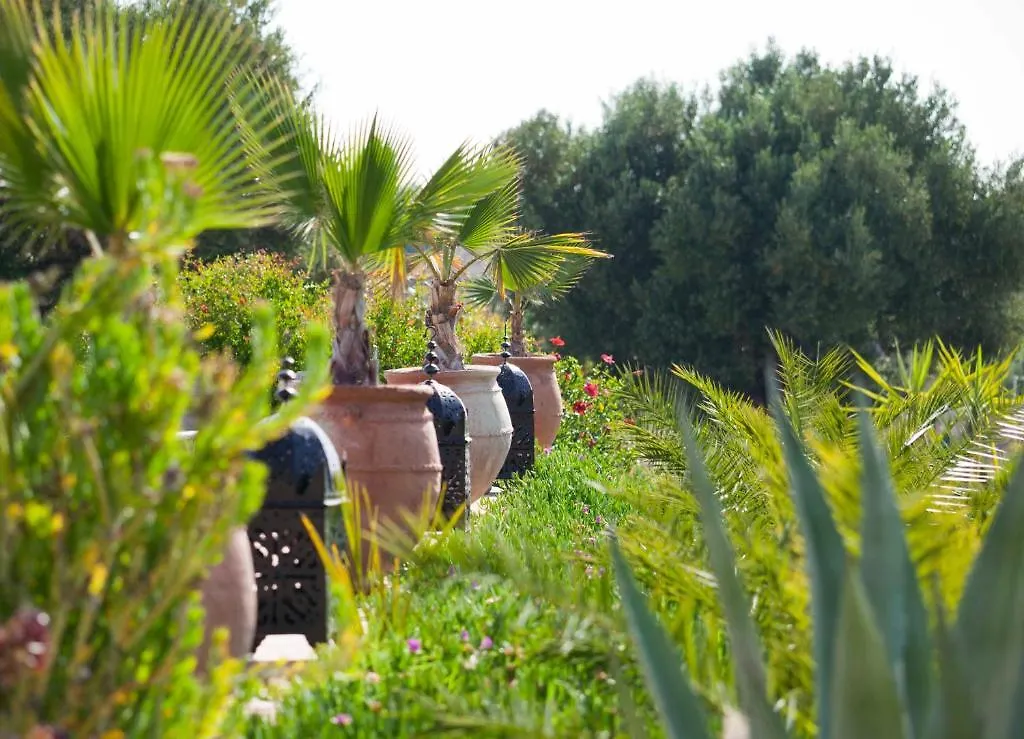 ***  Dar Diamar Guest House Essaouira Morocco