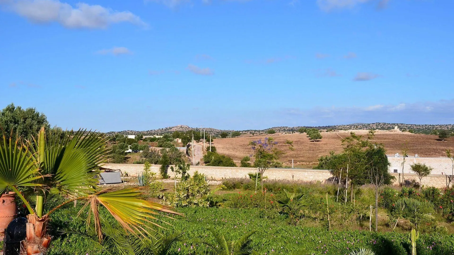 Dar Diamar Guest House Essaouira 3*,